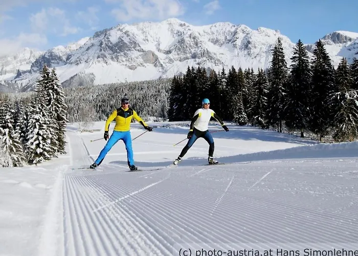 Seggl 2 Appartement Pruggern